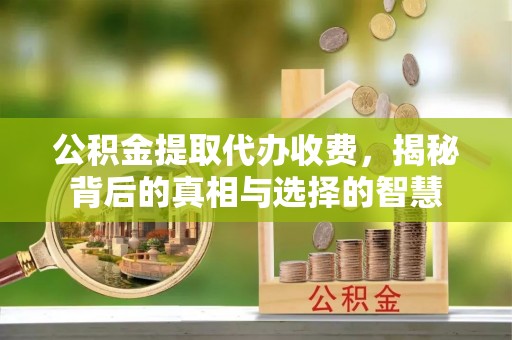 隆回公积金提取代办收费，揭秘背后的真相与选择的智慧