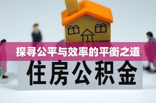 隆回探寻公平与效率的平衡之道