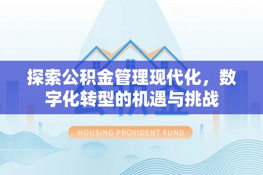 隆回探索公积金管理现代化，数字化转型的机遇与挑战