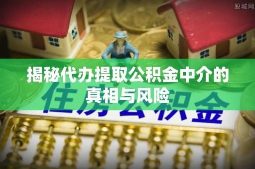 隆回揭秘代办提取公积金中介的真相与风险