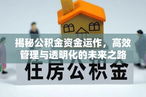隆回揭秘公积金资金运作，高效管理与透明化的未来之路