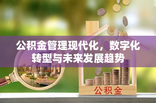 隆回公积金管理现代化，数字化转型与未来发展趋势