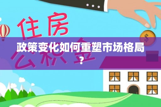 隆回政策变化如何重塑市场格局？