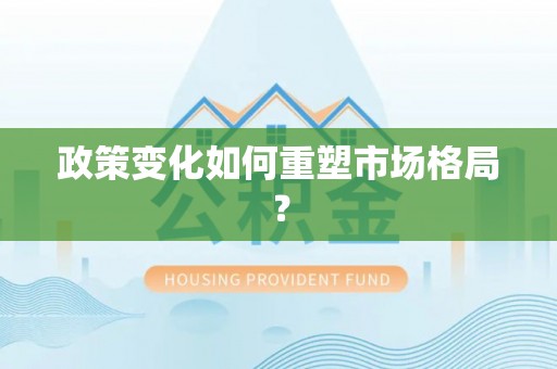 隆回政策变化如何重塑市场格局？