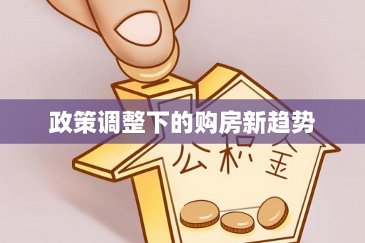 隆回政策调整下的购房新趋势