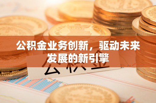 隆回公积金业务创新，驱动未来发展的新引擎
