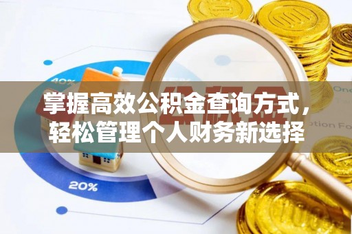 隆回掌握高效公积金查询方式，轻松管理个人财务新选择
