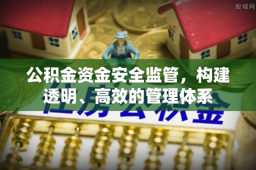 隆回公积金资金安全监管，构建透明、高效的管理体系