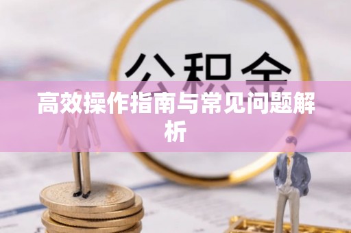 隆回高效操作指南与常见问题解析