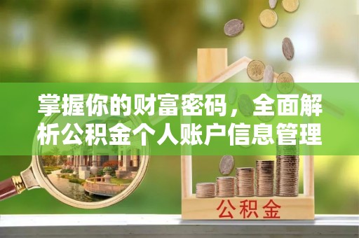 隆回掌握你的财富密码，全面解析公积金个人账户信息管理与优化