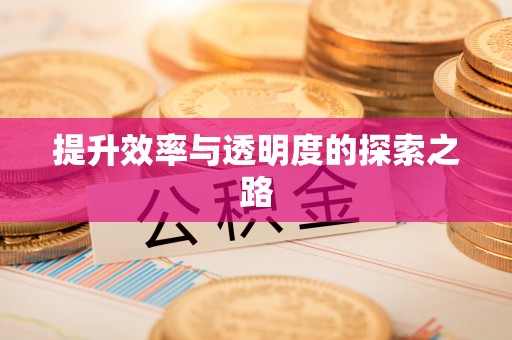 隆回提升效率与透明度的探索之路