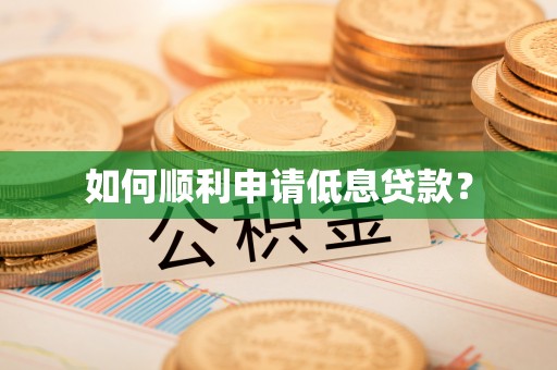 隆回如何顺利申请低息贷款？