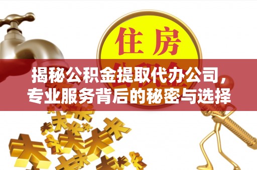 隆回揭秘公积金提取代办公司，专业服务背后的秘密与选择指南