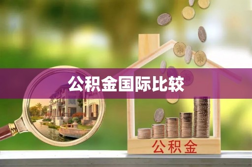 隆回公积金国际比较