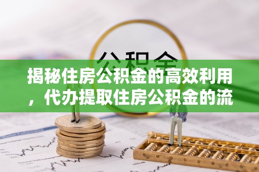 隆回揭秘住房公积金的高效利用，代办提取住房公积金的流程与技巧