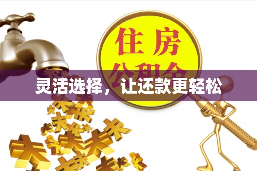 隆回灵活选择，让还款更轻松