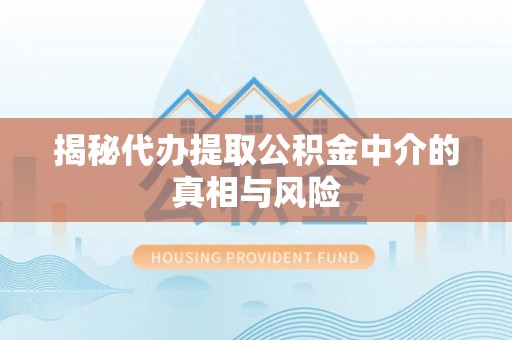 隆回揭秘代办提取公积金中介的真相与风险