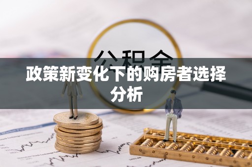 隆回政策新变化下的购房者选择分析