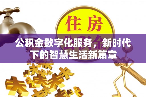 隆回公积金数字化服务，新时代下的智慧生活新篇章
