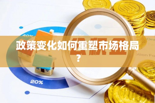 隆回政策变化如何重塑市场格局？