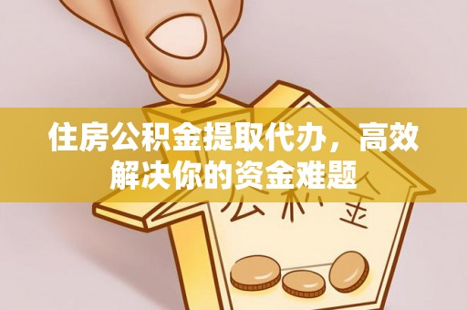 隆回住房公积金提取代办，高效解决你的资金难题