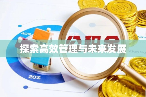 隆回探索高效管理与未来发展