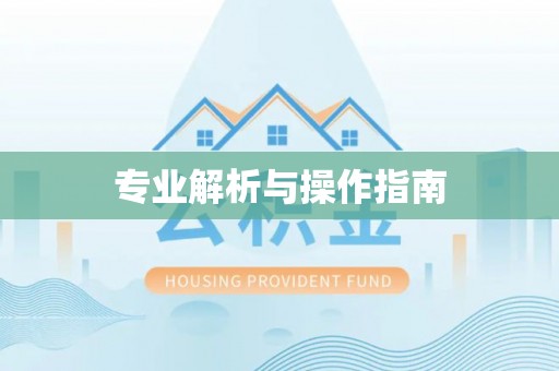 隆回专业解析与操作指南