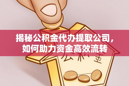 隆回揭秘公积金代办提取公司，如何助力资金高效流转