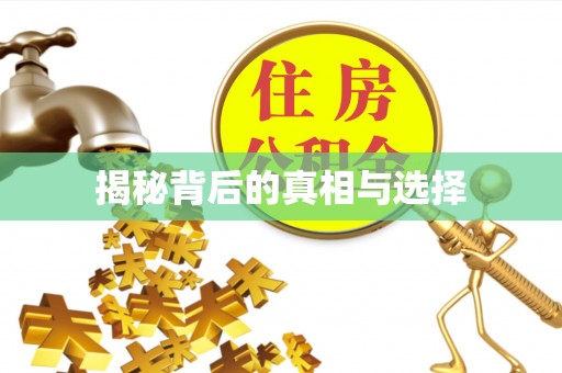 隆回揭秘背后的真相与选择