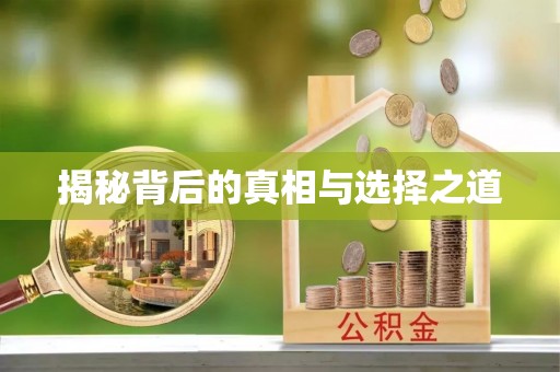隆回揭秘背后的真相与选择之道