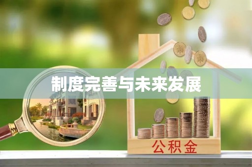 隆回制度完善与未来发展