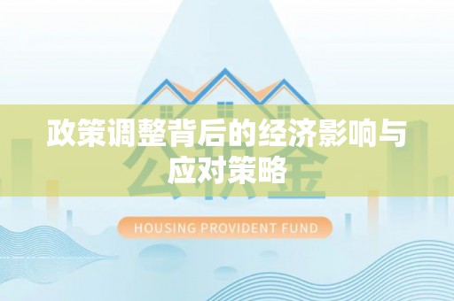 隆回政策调整背后的经济影响与应对策略