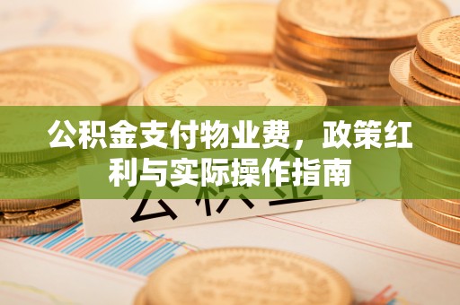 隆回公积金支付物业费，政策红利与实际操作指南