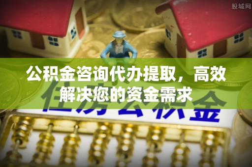 隆回公积金咨询代办提取，高效解决您的资金需求