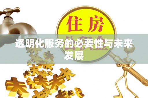 隆回透明化服务的必要性与未来发展