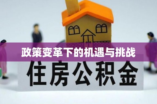 隆回政策变革下的机遇与挑战