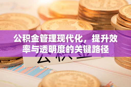隆回公积金管理现代化，提升效率与透明度的关键路径