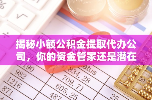 隆回揭秘小额公积金提取代办公司，你的资金管家还是潜在风险？