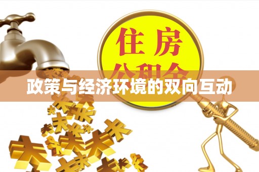 隆回政策与经济环境的双向互动