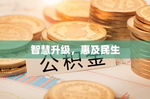 隆回智慧升级，惠及民生