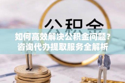 隆回如何高效解决公积金问题？咨询代办提取服务全解析