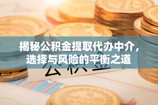 隆回揭秘公积金提取代办中介，选择与风险的平衡之道