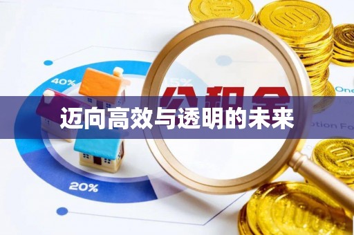 隆回迈向高效与透明的未来