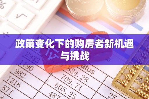 隆回政策变化下的购房者新机遇与挑战