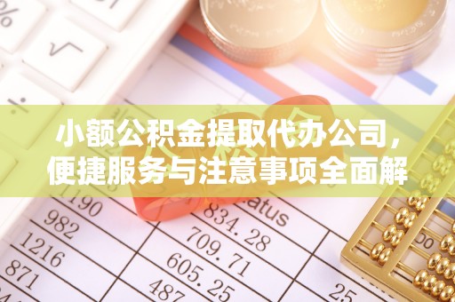 隆回小额公积金提取代办公司，便捷服务与注意事项全面解析