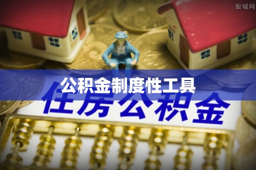 隆回公积金制度性工具