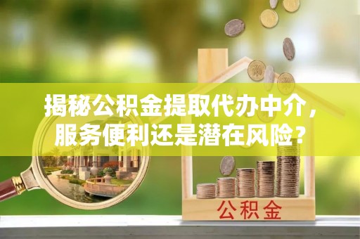 隆回揭秘公积金提取代办中介，服务便利还是潜在风险？