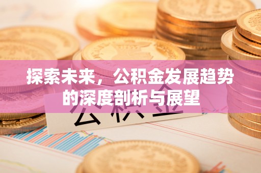 隆回探索未来，公积金发展趋势的深度剖析与展望
