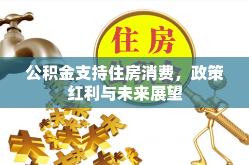 隆回公积金支持住房消费，政策红利与未来展望