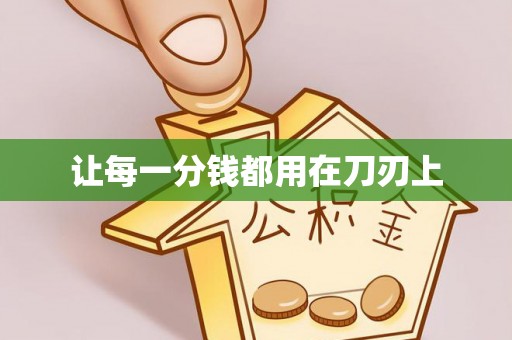 隆回让每一分钱都用在刀刃上